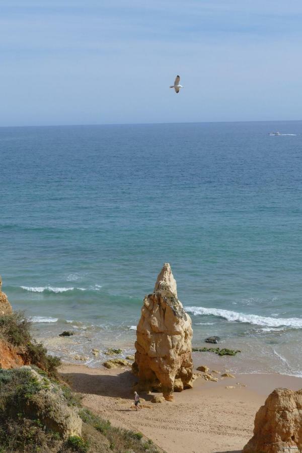 Apartment Da Rocha, Algarve Sunny